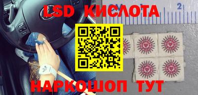 эйфоретик Донской