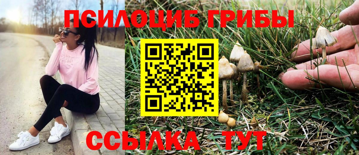 Псилоцибиновые грибы Magic Shrooms  цена   Трёхгорный  Псилоцибиновые грибы прущие грибы  Вход с VPN 